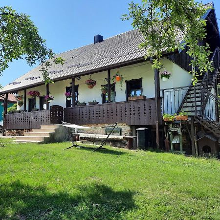 Casa Bunicilor Villa Ciprian Porumbescu Exterior photo
