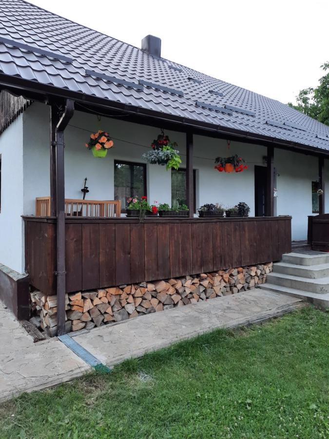 Casa Bunicilor Villa Ciprian Porumbescu Exterior photo
