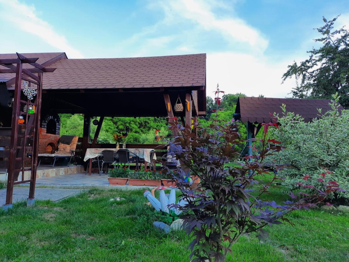 Casa Bunicilor Villa Ciprian Porumbescu Exterior photo