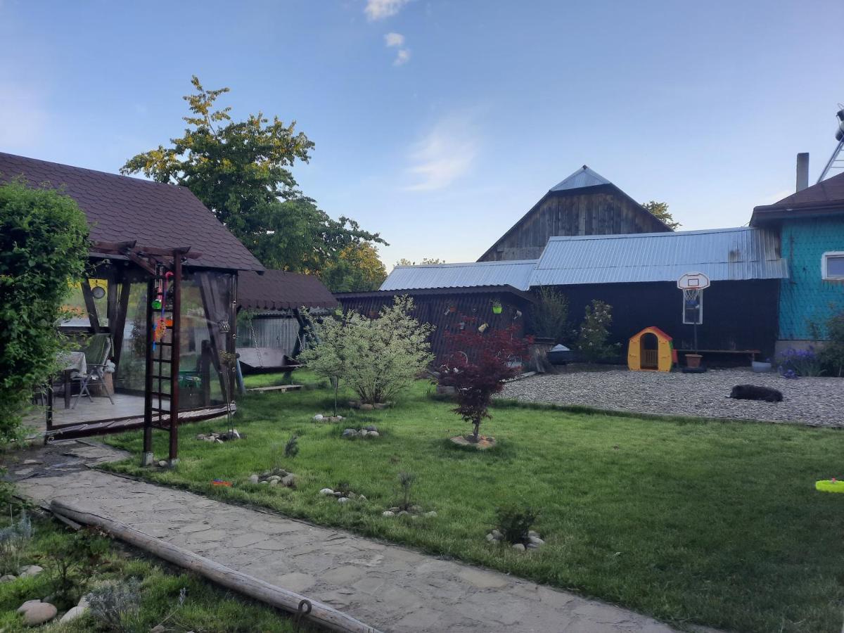 Casa Bunicilor Villa Ciprian Porumbescu Exterior photo