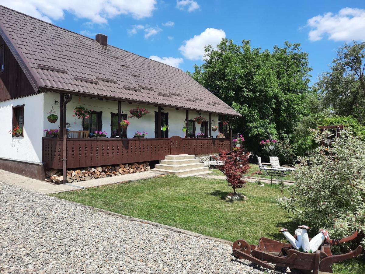 Casa Bunicilor Villa Ciprian Porumbescu Exterior photo