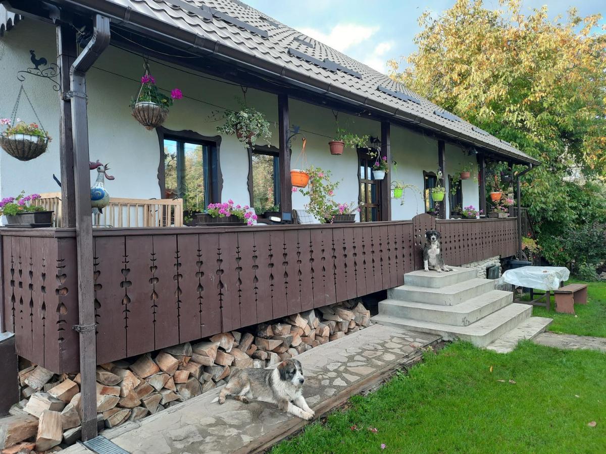 Casa Bunicilor Villa Ciprian Porumbescu Exterior photo